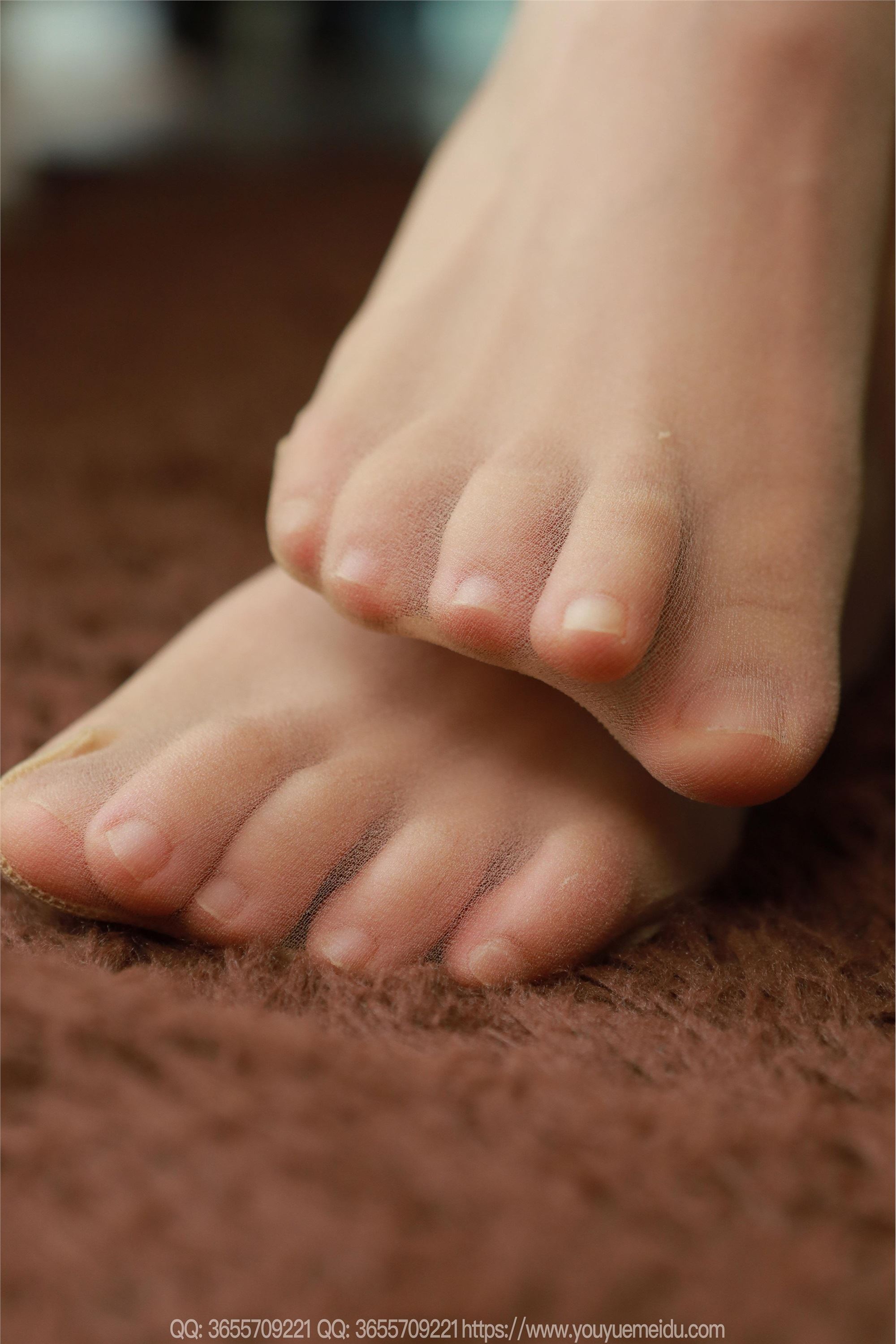 IESS异思趣向  2025.05.13 丝享家 2052 小金《丝丝入扣》